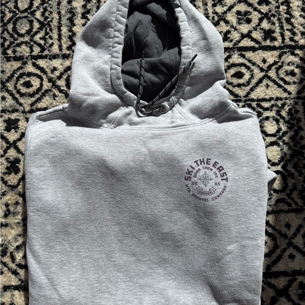 Ski The East Gray Hoodie